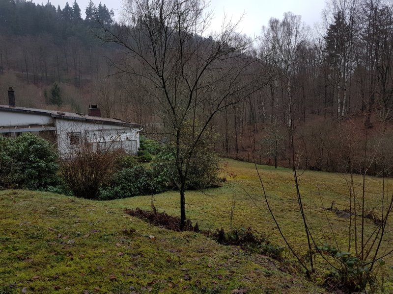 garten.jpg