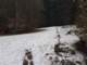 winter/schneebedeckt_small.jpg